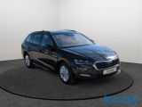 Skoda Octavia bei Sportwagen.expert - Abbildung (3 / 15)