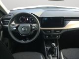 Skoda Kamiq bei Sportwagen.expert - Abbildung (6 / 15)