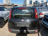 Fiat Panda bei Sportwagen.expert - Abbildung (3 / 9)
