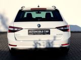 Skoda Superb bei Sportwagen.expert - Abbildung (6 / 15)