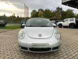 VW New Beetle bei Sportwagen.expert - Abbildung (2 / 15)