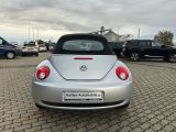 VW New Beetle bei Sportwagen.expert - Abbildung (13 / 15)