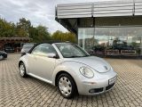 VW New Beetle bei Sportwagen.expert - Abbildung (14 / 15)