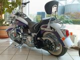 Harley-Davidson Softail bei Sportwagen.expert - Abbildung (3 / 8)
