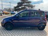 Fiat Panda bei Sportwagen.expert - Abbildung (3 / 14)