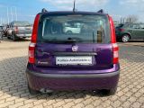 Fiat Panda bei Sportwagen.expert - Abbildung (11 / 14)