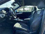 Audi S5 bei Sportwagen.expert - Abbildung (9 / 15)