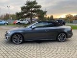 Audi S5 bei Sportwagen.expert - Abbildung (3 / 15)