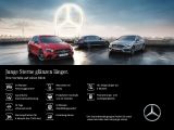 Mercedes-Benz G-Klasse bei Sportwagen.expert - Abbildung (13 / 13)