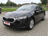 Skoda Octavia bei Sportwagen.expert - Abbildung (2 / 13)