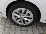 Skoda Octavia bei Sportwagen.expert - Abbildung (7 / 13)