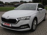 Skoda Octavia bei Sportwagen.expert - Abbildung (3 / 14)