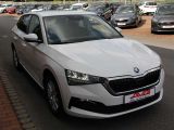 Skoda Scala bei Sportwagen.expert - Abbildung (9 / 14)