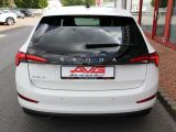 Skoda Scala bei Sportwagen.expert - Abbildung (7 / 14)