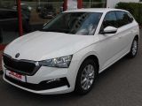 Skoda Scala bei Sportwagen.expert - Abbildung (2 / 14)