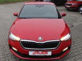 Skoda Scala bei Sportwagen.expert - Abbildung (2 / 15)