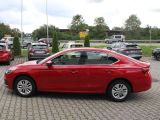 Skoda Octavia bei Sportwagen.expert - Abbildung (4 / 15)