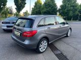 Mercedes-Benz B-Klasse bei Sportwagen.expert - Abbildung (7 / 13)