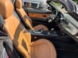 BMW Z4 bei Sportwagen.expert - Abbildung (10 / 11)