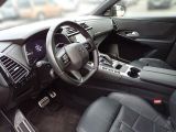DS Automobiles DS 7 bei Sportwagen.expert - Abbildung (14 / 14)