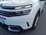 Citroen C5 Aircross bei Sportwagen.expert - Abbildung (8 / 13)