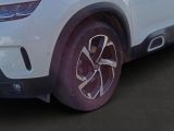 Citroen C5 Aircross bei Sportwagen.expert - Abbildung (9 / 14)