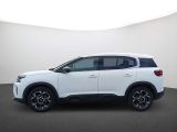 Citroen C5 Aircross bei Sportwagen.expert - Abbildung (6 / 14)