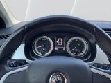 Skoda Fabia bei Sportwagen.expert - Abbildung (13 / 15)