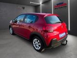 Citroen C3 bei Sportwagen.expert - Abbildung (5 / 15)