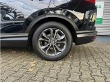 Honda CR-V bei Sportwagen.expert - Abbildung (7 / 15)