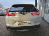 Honda CR-V bei Sportwagen.expert - Abbildung (7 / 13)