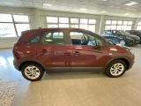 Opel Crossland X bei Sportwagen.expert - Abbildung (7 / 15)