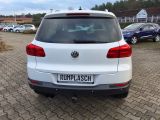 VW Tiguan bei Sportwagen.expert - Abbildung (6 / 10)