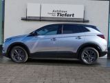 Opel Grandland X bei Sportwagen.expert - Abbildung (2 / 15)