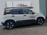 Fiat Panda bei Sportwagen.expert - Abbildung (6 / 15)