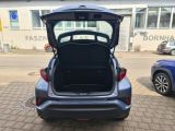 Toyota C-HR bei Sportwagen.expert - Abbildung (5 / 15)