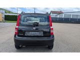 Fiat Panda bei Sportwagen.expert - Abbildung (6 / 14)