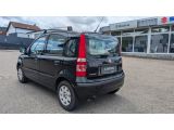 Fiat Panda bei Sportwagen.expert - Abbildung (4 / 14)