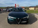 Alfa Romeo Stelvio bei Sportwagen.expert - Abbildung (2 / 15)