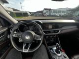 Alfa Romeo Stelvio bei Sportwagen.expert - Abbildung (6 / 15)