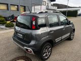 Fiat Panda bei Sportwagen.expert - Abbildung (14 / 15)