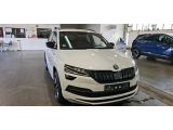 Skoda Karoq bei Sportwagen.expert - Abbildung (2 / 9)