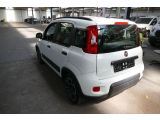 Fiat Panda bei Sportwagen.expert - Abbildung (4 / 10)
