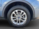 Ford Kuga bei Sportwagen.expert - Abbildung (4 / 15)