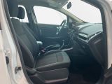 Ford EcoSport bei Sportwagen.expert - Abbildung (12 / 15)