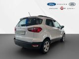 Ford EcoSport bei Sportwagen.expert - Abbildung (6 / 15)