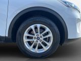 Ford Kuga bei Sportwagen.expert - Abbildung (4 / 15)