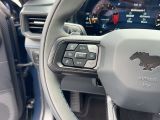 Ford Mustang bei Sportwagen.expert - Abbildung (15 / 15)