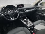 Mazda CX 5 bei Sportwagen.expert - Abbildung (11 / 15)