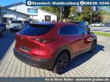Mazda CX-30 bei Sportwagen.expert - Abbildung (5 / 15)